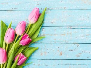 April&June024